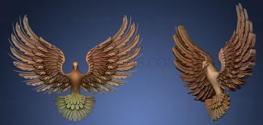 3D model Dove (STL)